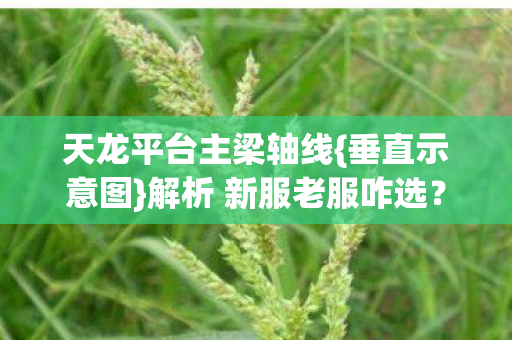 解析 新服老服咋选图片