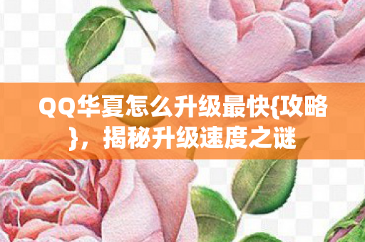 QQ华夏怎么升级最快{攻略}，揭秘升级速度之谜