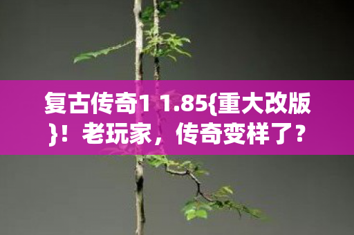 复古传奇1 1图片