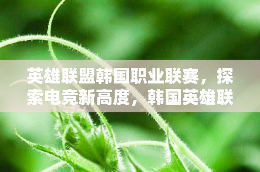 英雄联盟韩国职业联赛图片