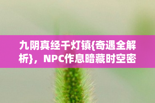 九阴真经千灯镇{奇遇全解析},NPC作息暗藏时空密码 九阴真经千灯镇{奇遇全解析},NPC作息暗藏时空密码