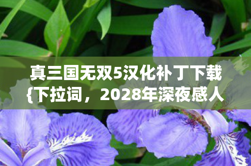 真三国无双5汉化补丁下载{下拉词,2028年深夜感人伏笔} 真三国无双5汉化补丁下载{下拉词,2028年深夜感人伏笔}