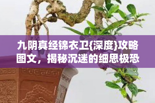 九阴真经锦衣卫{深度}攻略图文,揭秘沉迷的细思极恐真相 九阴真经锦衣卫{深度}攻略图文,揭秘沉迷的细思极恐真相
