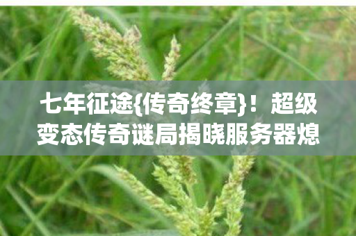 七年征途{传奇终章}!超级变态传奇谜局揭晓服务器熄灯 七年征途{传奇终章}!超级变态传奇谜局揭晓服务器熄灯