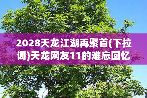 2028天龙江湖再聚首图片