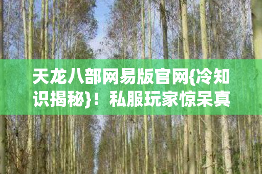 天龙八部网易版官网图片