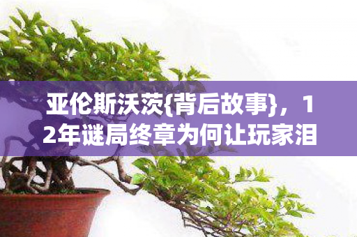 亚伦斯沃茨{背后故事},12年谜局终章为何让玩家泪目? 亚伦斯沃茨{背后故事},12年谜局终章为何让玩家泪目?
