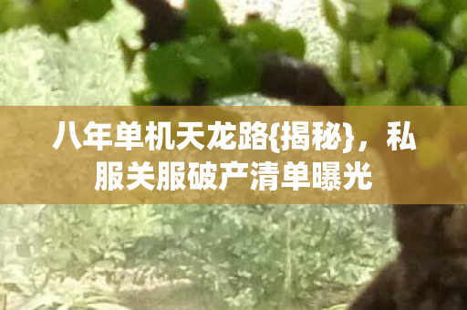 私服关服破产清单曝光图片