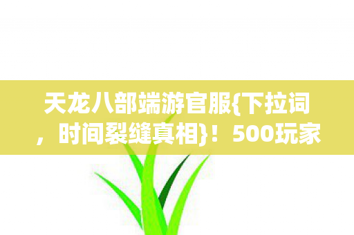 500玩家亲历网吧热议图片