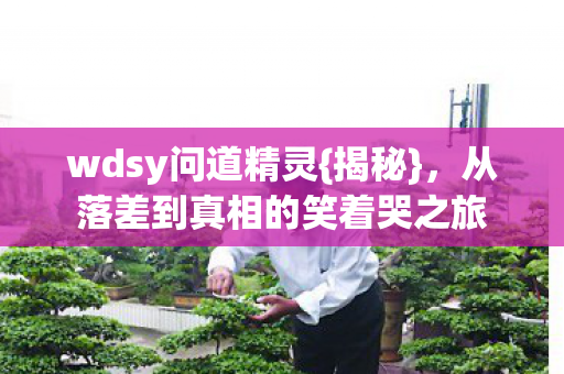 wdsy问道精灵{揭秘},从落差到真相的笑着哭之旅 wdsy问道精灵{揭秘},从落差到真相的笑着哭之旅