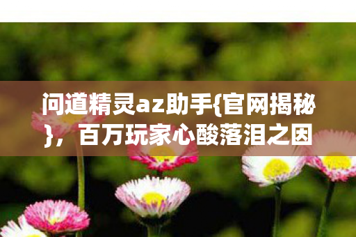 问道精灵az助手{官网揭秘},百万玩家心酸落泪之因 问道精灵az助手{官网揭秘},百万玩家心酸落泪之因