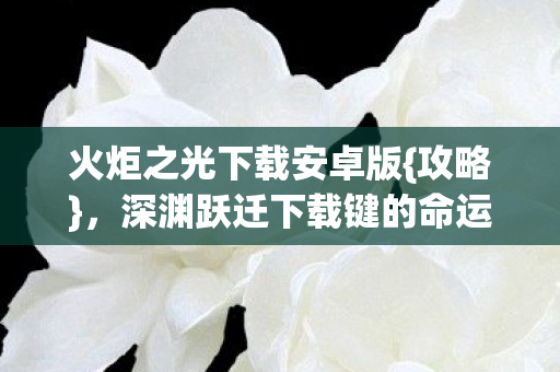 火炬之光下载安卓版{攻略},深渊跃迁下载键的命运审判 火炬之光下载安卓版{攻略},深渊跃迁下载键的命运审判