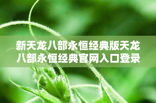 新天龙八部永恒经典版天龙八部永恒经典官网入口登录界面图片