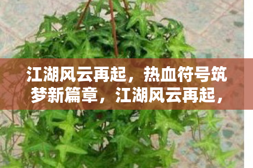 江湖风云再起,热血符号筑梦新篇章,江湖风云再起,热血符号引领筑梦新篇章 江湖风云再起,热血符号筑梦新篇章,江湖风云再起,热血符号引领筑梦新篇章