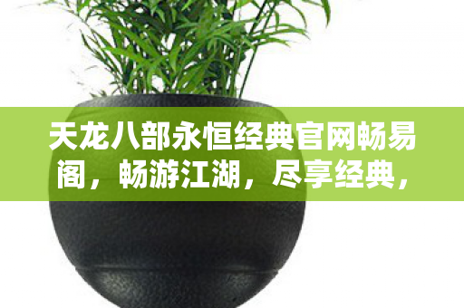 天龙八部永恒经典官网畅易阁图片