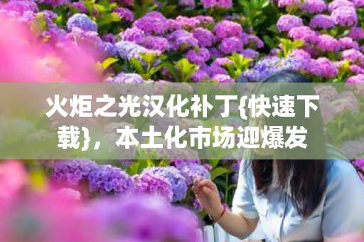 火炬之光汉化补丁{快速下载}，本土化市场迎爆发