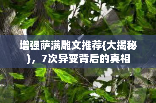 增强萨满雕文推荐{大揭秘}，7次异变背后的真相