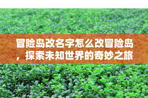 冒险岛改名字怎么改冒险岛,探索未知世界的奇妙之旅,冒险岛,探索未知世界的奇妙改名之旅 冒险岛改名字怎么改冒险岛,探索未知世界的奇妙之旅,冒险岛,探索未知世界的奇妙改名之旅