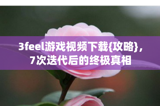 3feel游戏视频下载{攻略}，7次迭代后的终极真相