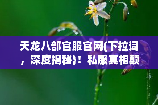 天龙八部官服官网图片