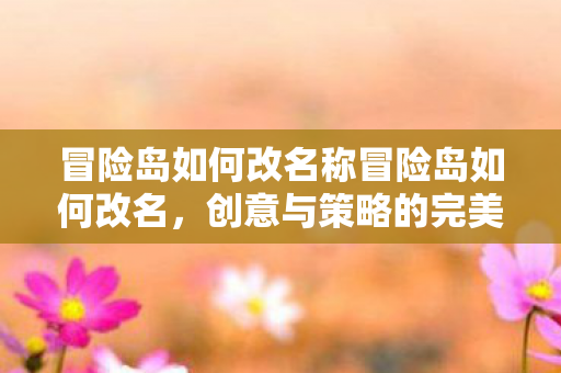 冒险岛如何改名称冒险岛如何改名，创意与策略的完美融合，冒险岛改名攻略，创意与策略如何完美融合