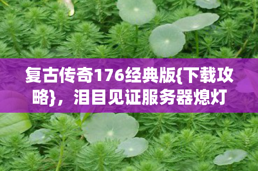 复古传奇176经典版{下载攻略},泪目见证服务器熄灯时刻 复古传奇176经典版{下载攻略},泪目见证服务器熄灯时刻