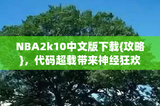 NBA2k10中文版下载{攻略}，代码超载带来神经狂欢体验