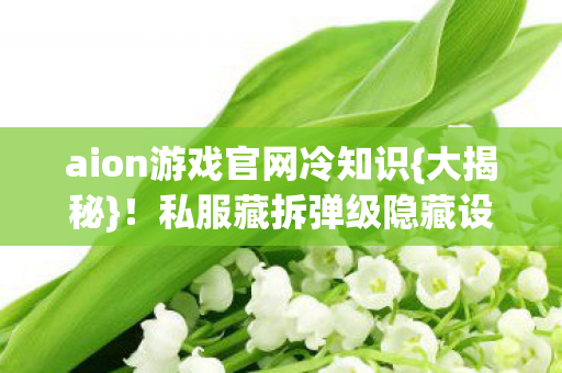aion游戏官网冷知识{大揭秘}!私服藏拆弹级隐藏设计 aion游戏官网冷知识{大揭秘}!私服藏拆弹级隐藏设计