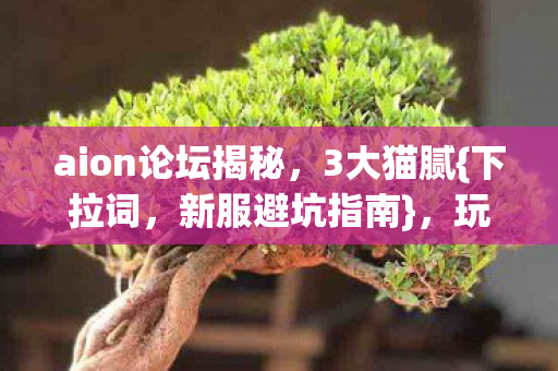 aion论坛揭秘，3大猫腻{下拉词，新服避坑指南}，玩家必看