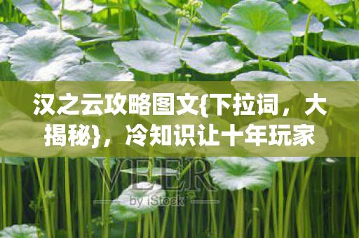 汉之云攻略图文{下拉词,大揭秘},冷知识让十年玩家都震惊 汉之云攻略图文{下拉词,大揭秘},冷知识让十年玩家都震惊