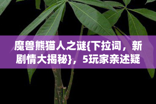 魔兽熊猫人之谜{下拉词，新剧情大揭秘}，5玩家亲述疑点