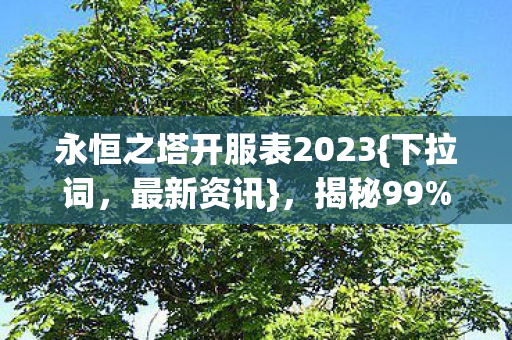 永恒之塔开服表2023图片