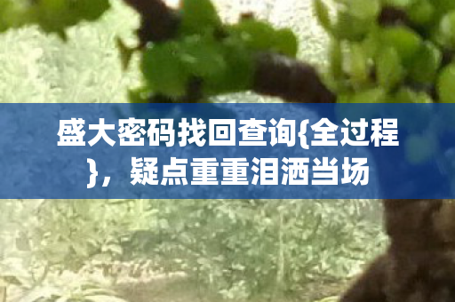 盛大密码找回查询{全过程}，疑点重重泪洒当场