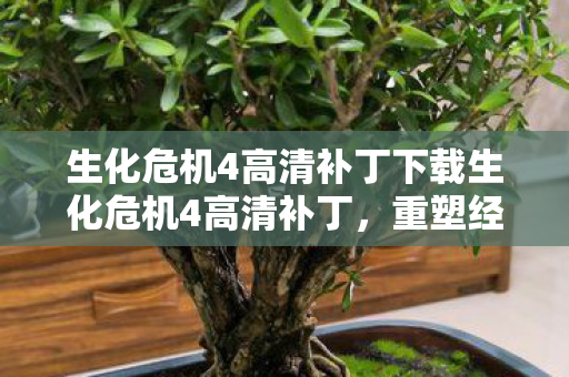 生化危机4高清补丁下载生化危机4高清补丁图片