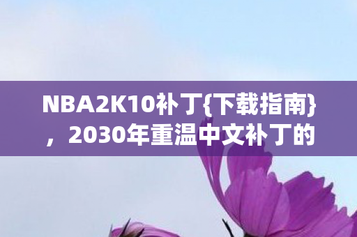 NBA2K10补丁{下载指南}，2030年重温中文补丁的青春记忆