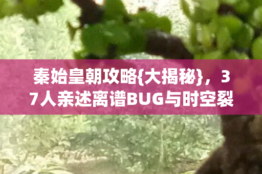 秦始皇朝攻略{大揭秘},37人亲述离谱BUG与时空裂痕 秦始皇朝攻略{大揭秘},37人亲述离谱BUG与时空裂痕