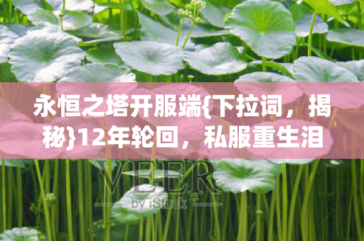 永恒之塔开服端{下拉词,揭秘}12年轮回,私服重生泪目寻踪 永恒之塔开服端{下拉词,揭秘}12年轮回,私服重生泪目寻踪