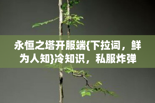 永恒之塔开服端{下拉词,鲜为人知}冷知识,私服炸弹设计揭秘! 永恒之塔开服端{下拉词,鲜为人知}冷知识,私服炸弹设计揭秘!