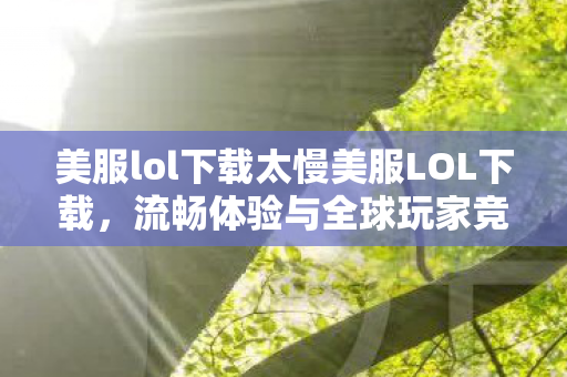 美服lol下载太慢美服LOL下载图片