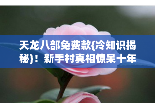 新手村真相惊呆十年玩家图片