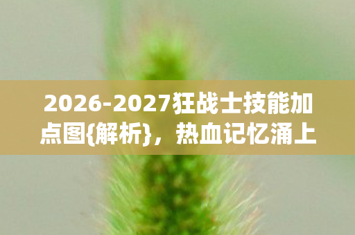 2026-2027狂战士技能加点图{解析},热血记忆涌上心头 2026-2027狂战士技能加点图{解析},热血记忆涌上心头