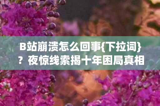 B站崩溃怎么回事{下拉词}?夜惊线索揭十年困局真相 B站崩溃怎么回事{下拉词}?夜惊线索揭十年困局真相