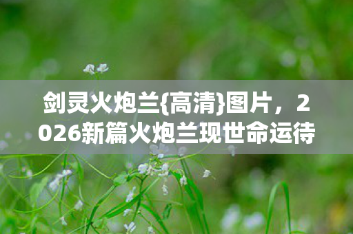 剑灵火炮兰{高清}图片,2026新篇火炮兰现世命运待改写 剑灵火炮兰{高清}图片,2026新篇火炮兰现世命运待改写