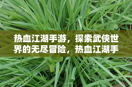 热血江湖手游,探索武侠世界的无尽冒险,热血江湖手游,探索武侠世界的无尽冒险 热血江湖手游,探索武侠世界的无尽冒险,热血江湖手游,探索武侠世界的无尽冒险