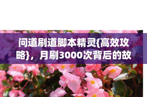 问道刷道脚本精灵{高效攻略},月刷3000次背后的故事 问道刷道脚本精灵{高效攻略},月刷3000次背后的故事