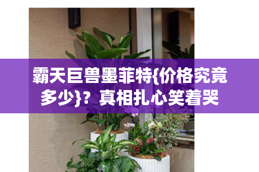 霸天巨兽墨菲特{价格究竟多少}?真相扎心笑着哭 霸天巨兽墨菲特{价格究竟多少}?真相扎心笑着哭