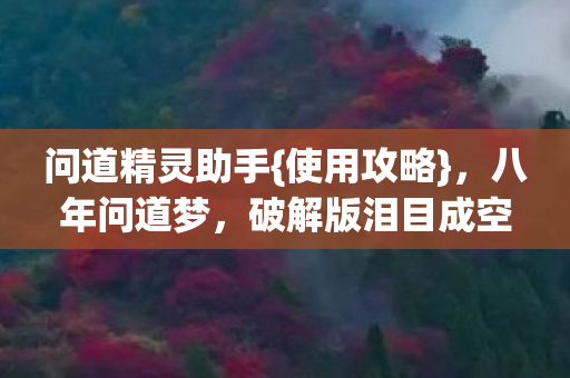 问道精灵助手{使用攻略},八年问道梦,破解版泪目成空 问道精灵助手{使用攻略},八年问道梦,破解版泪目成空