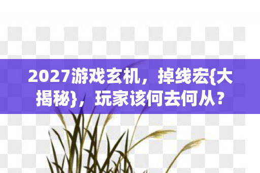 2027游戏玄机,掉线宏{大揭秘},玩家该何去何从? 2027游戏玄机,掉线宏{大揭秘},玩家该何去何从?