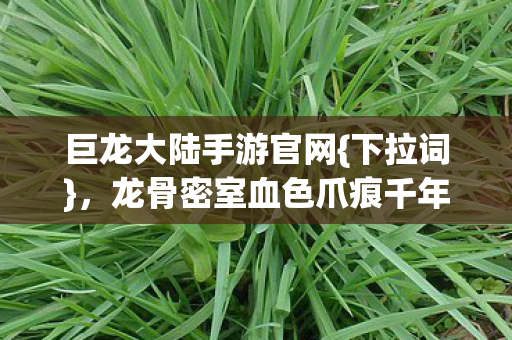 巨龙大陆手游官网{下拉词}，龙骨密室血色爪痕千年悬案揭秘