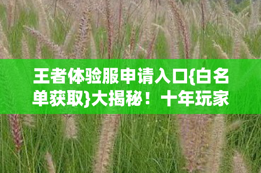 王者体验服申请入口图片